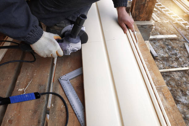 Best Siding Removal and Disposal  in Gardnerville, NV